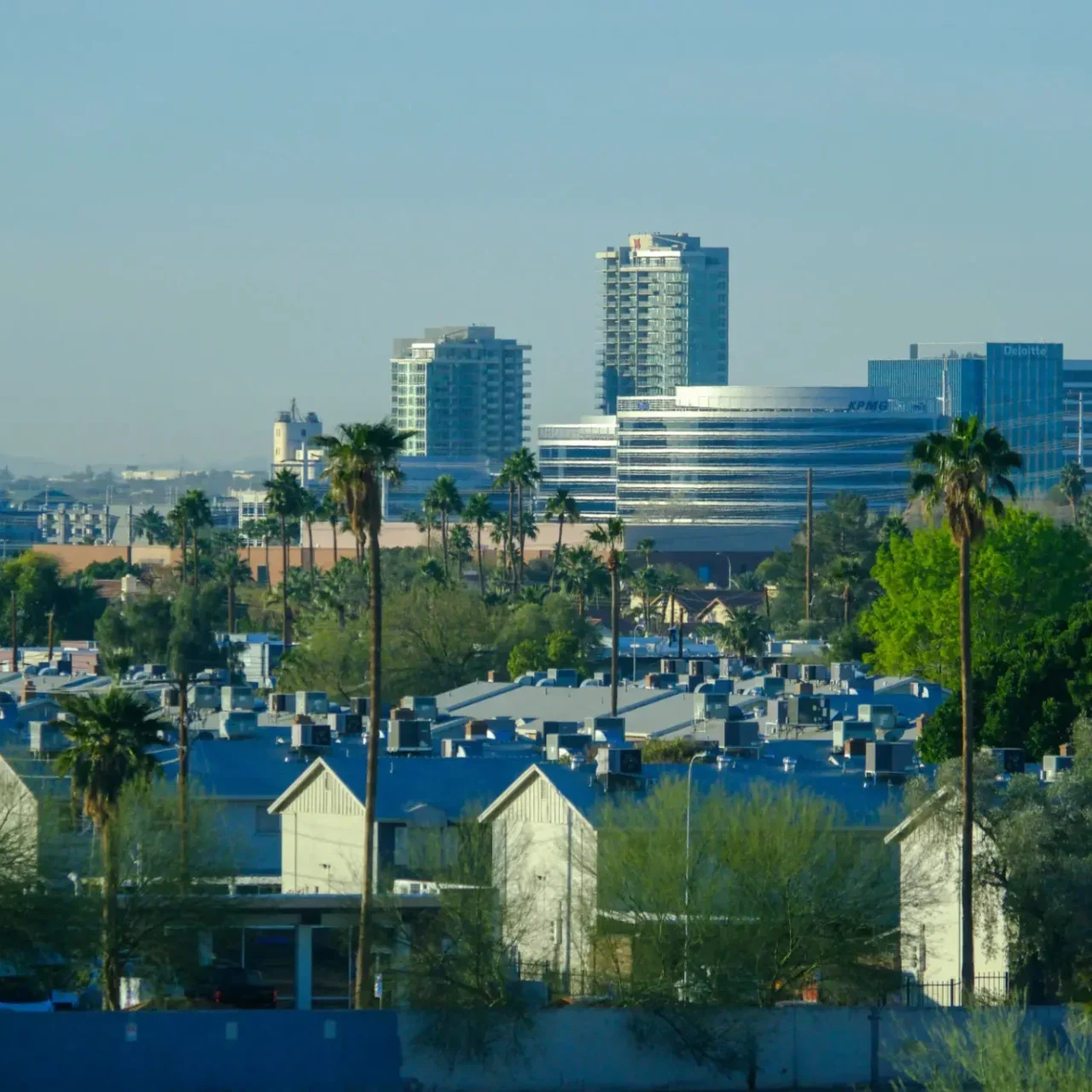 City skyline with palm trees