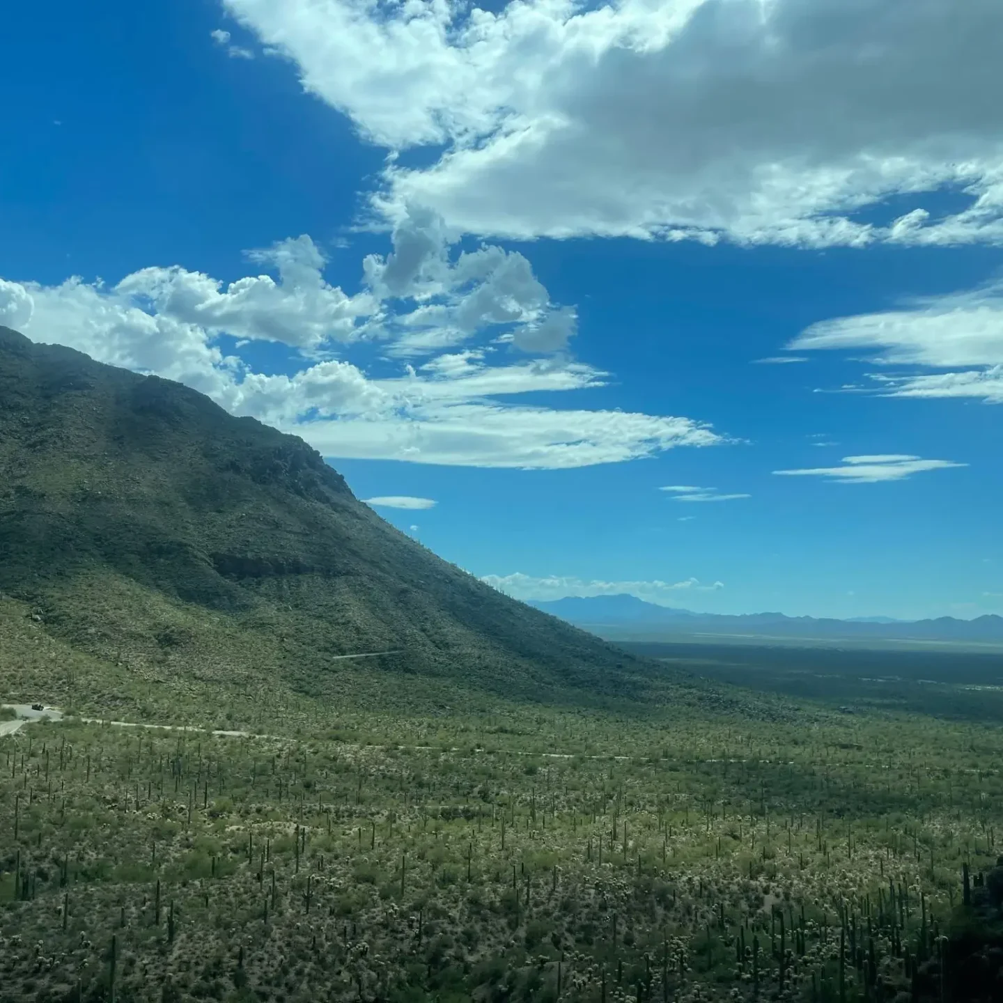 Desert landscape with mountain and blue sky.
